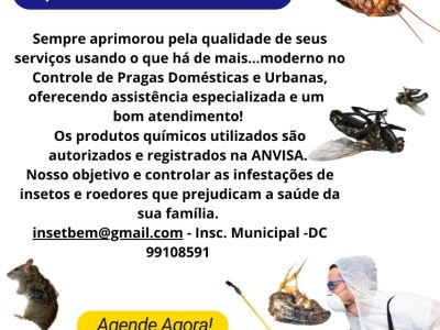 Dedetização/Desinsetização