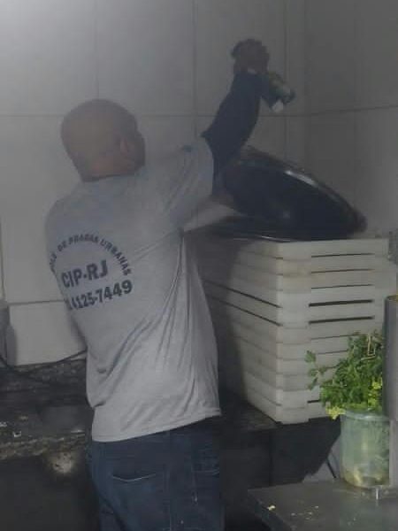 DEDETIZAÇÁO e DESINSETIZAÇÃO