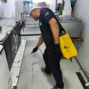 Controle de Pragas Urbanas e Domésticas