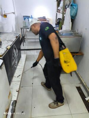 Controle de Pragas Urbanas e Domésticas