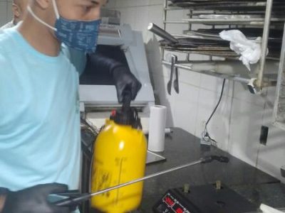 Dedetização, Desratização, Descupinização, Desinsetização