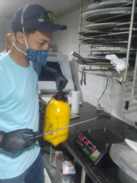 Dedetização, Desratização, Descupinização, Desinsetização