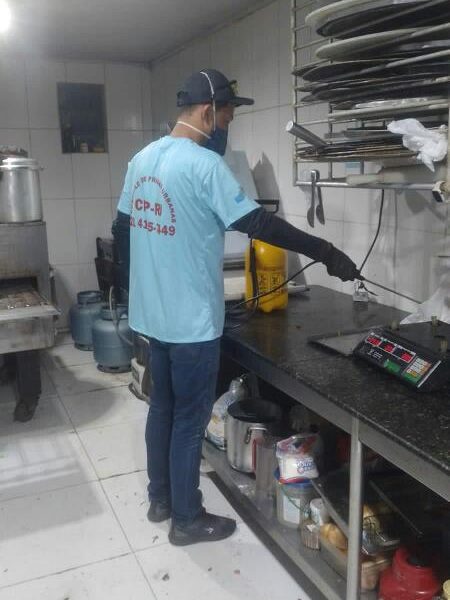 Dedetização, Desratização, Descupinização, Desinsetização