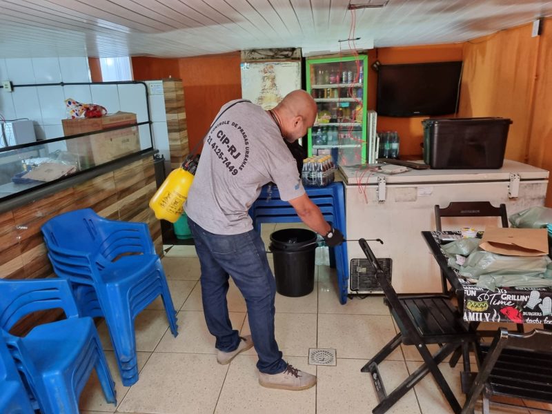 Dedetização, Desratização, Descupinização, Desinsetização