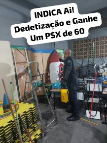 Dedetização, Desratização, Descupinização, Desinsetização