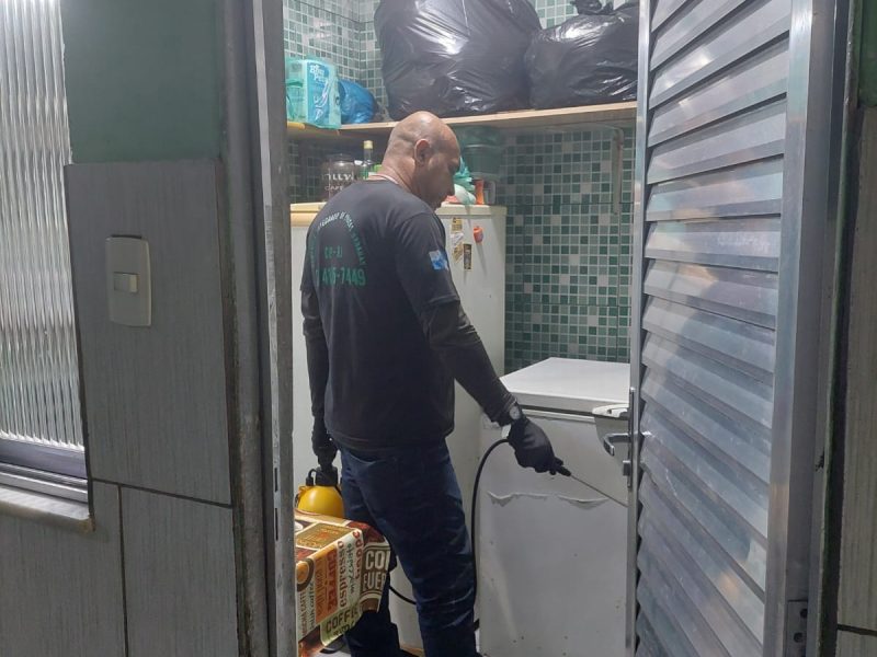 Dedetização, Desratização, Descupinização, Desinsetização