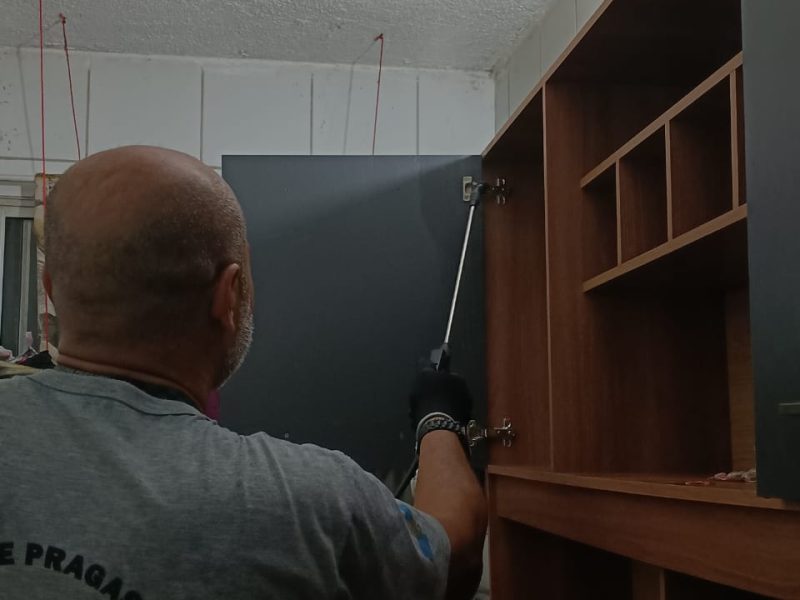 Dedetização, Desratização, Descupinização, Desinsetização