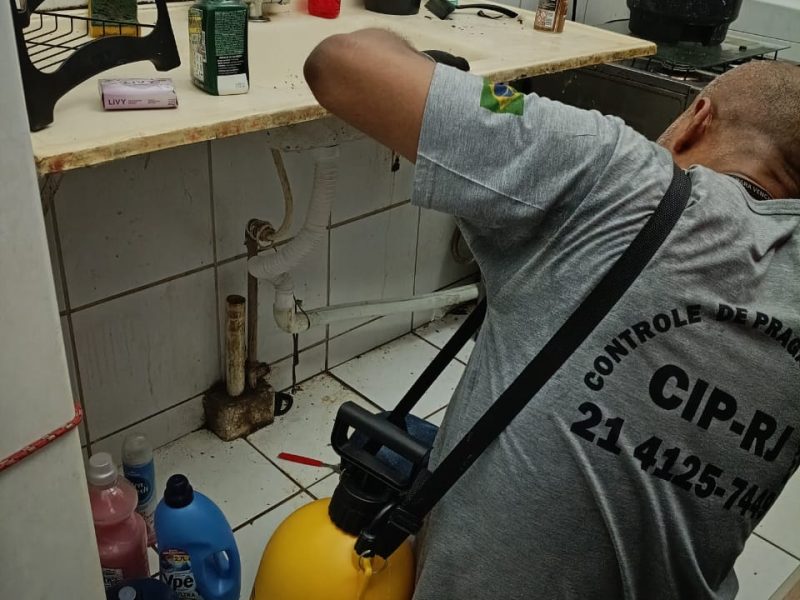 Dedetização, Desratização, Descupinização, Desinsetização